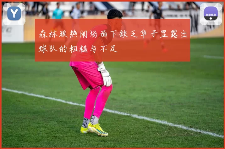 森林狼热闹场面下缺乏华子显露出球队的粗糙与不足